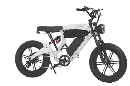 METALYRA M1 Fat Bike Tout terrain WHITE